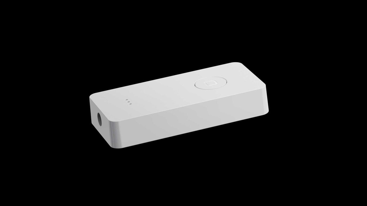 D200C002 Pixel-Lichtstreifen-Controller (Eingangs- & Ausgangsklemmen Inklusive / Einzelstück Anzeige) 24V