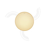 F07B 46-Inch Invisible Blades DC Ceiling Fan Light, 87W (1 Unit/Box)